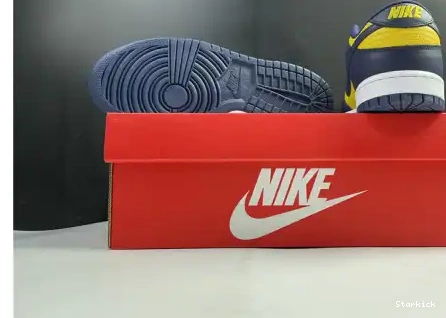 Michigan Nike Dunk DD1391-700 Low 0504
